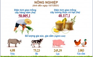 Khánh Hòa: Kinh tế xã hội tiếp tục bị ảnh hưởng do dịch Covid-19