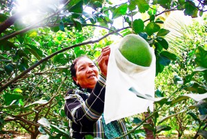 Người phụ nữ khuyết tật vượt khó
