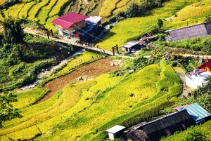 Từng có những ngày bình yên