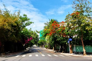 Thành phố một màu xanh