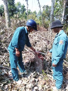 Công ty Lâm sản Khánh Hòa củng cố lực lượng giữ rừng