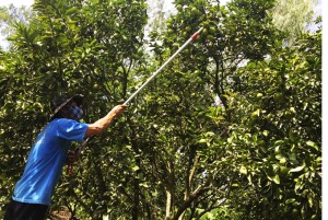 Khánh Vĩnh: Vụ cam xoàn thất bát