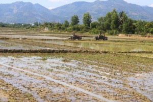 Tháo gỡ khó khăn cho Suối Lau