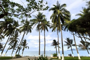 Biển tình Nha Trang