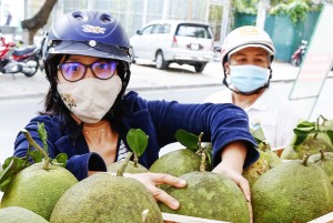 Gỡ khó cho tiêu thụ nông sản