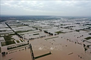 Bão Kompasu làm ít nhất 9 người thiệt mạng tại Philippines