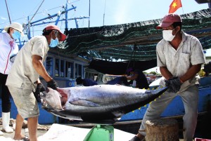 Khai thác thủy sản IUU: Chấm dứt tình trạng vi phạm vào cuối năm