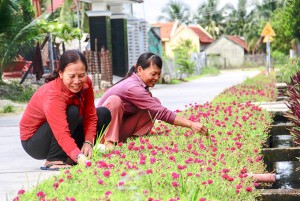 Góp phần tạo cảnh quan nông thôn xanh, sạch, đẹp