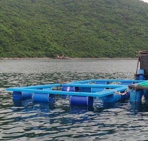 Hạ thủy thành công khung lồng nuôi thủy sản thử nghiệm bằng vật liệu FRP