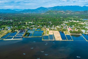 Rà soát toàn bộ quy định liên quan đến tách thửa, phân lô