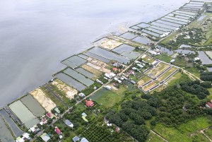 Tập đoàn Vingroup: Sẽ khảo sát để lập hồ sơ đề nghị thực hiện dự án cải tạo đầm Thủy Triều
