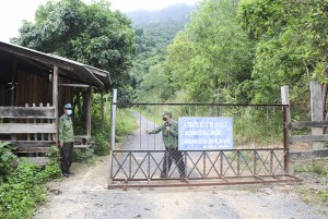 Giữ rừng dịp Tết