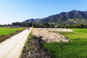 Chấn chỉnh sai sót trong quản lý đất trồng lúa