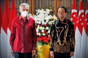 Indonesia, Singapore nhấn mạnh Đồng thuận ASEAN về Myanmar
