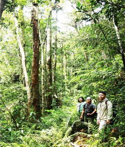 Biên soạn tài liệu đa dạng sinh học Khánh Hòa