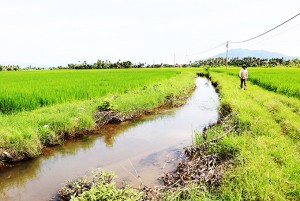 Tuyến kênh mương nội đồng xã Ninh Lộc: Mong được kiên cố hóa