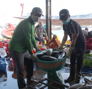 Nguy cơ tàu cá nằm bờ