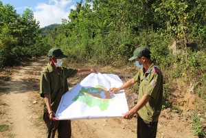 Chủ động phòng chống cháy rừng