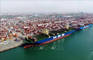 Tắc nghẽn tại các cảng biển Trung Quốc đe dọa chuỗi cung ứng toàn cầu