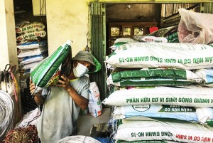 Giá phân bón, thuốc bảo vệ thực vật tăng: Nông dân gặp khó