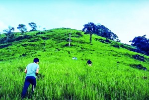 Khảo sát loại hình du lịch trekking Tà Giang