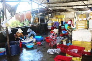 Xã Vĩnh Lương: Ô nhiễm do nước thải chế biến thủy sản