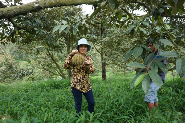 Mã số vùng trồng - "tấm vé" cho nông sản Khánh Sơn xuất khẩu chính ngạch