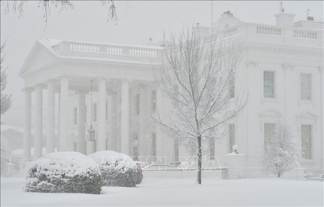 Tuyết rơi dày đặc tại Washington, DC, Mỹ ngày 3/1/2022. Ảnh: AFP/TTXVN