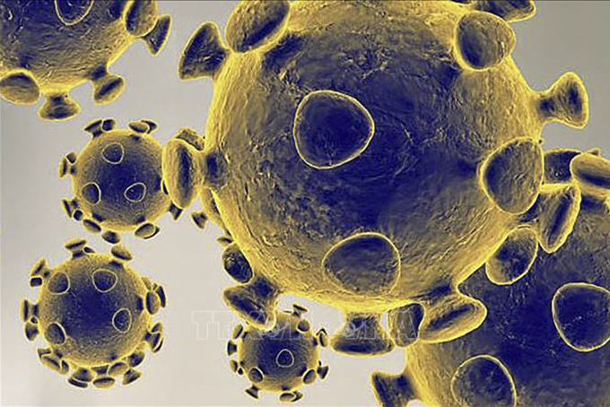 Hình ảnh do Cơ quan dược phẩm và thực phẩm Mỹ cung cấp về virus SARS-CoV-2 gây dịch viêm đường hô hấp cấp COVID-19. Ảnh: AFP/TTXVN