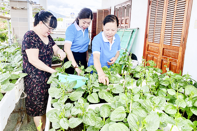 Mô hình “Trồng rau sạch - giúp phụ nữ nghèo” của Chi hội Phụ nữ Tổ dân phố 2 Phước Bình, phường Phước Long.