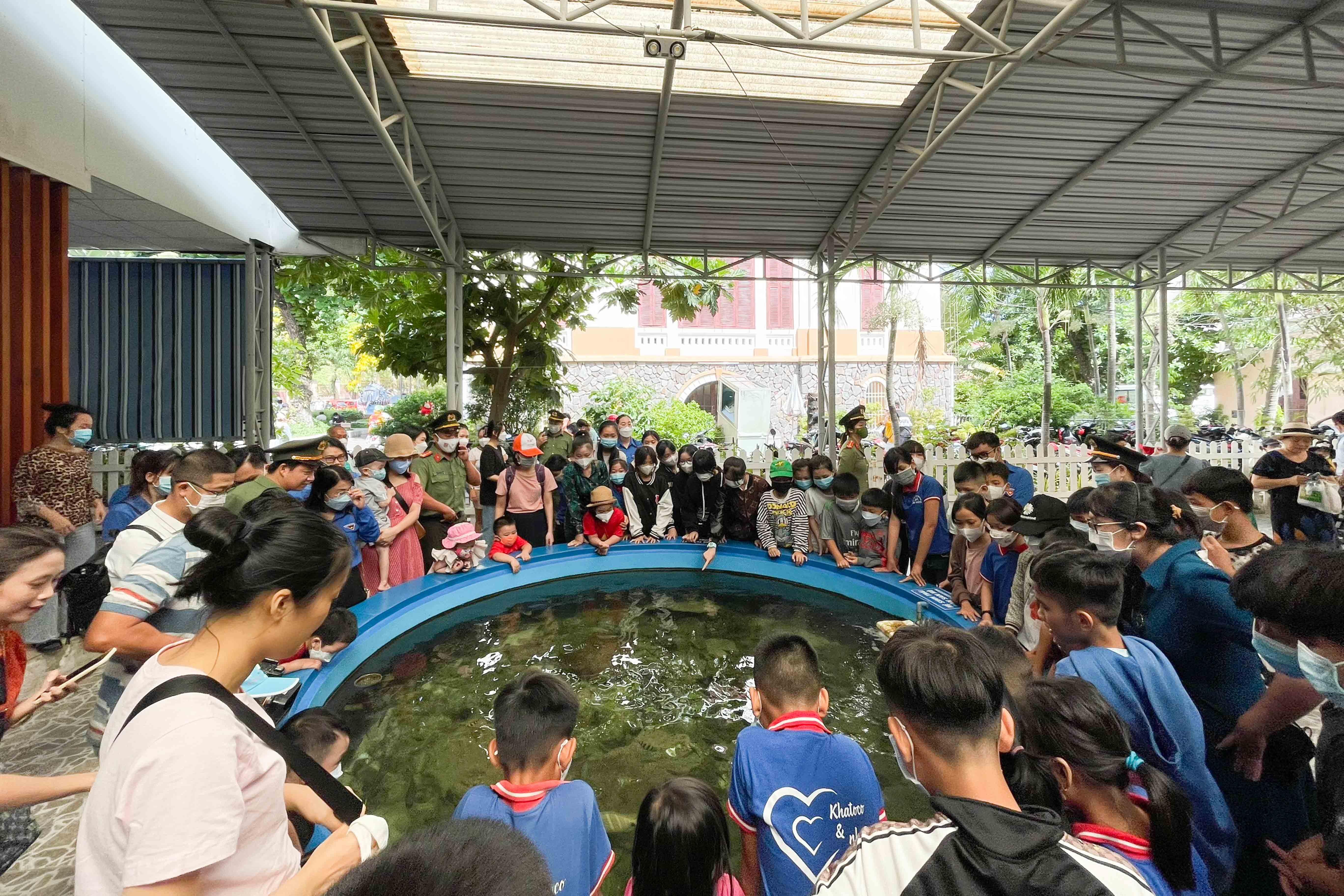 Các học sinh được thăm quan Bảo tàng hải dương học