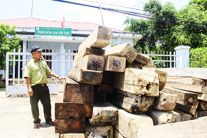 Lâm sản khai thác trái phép bị tạm giữ tại Trạm Kiểm lâm Sơn Thái (huyện Khánh Vĩnh).