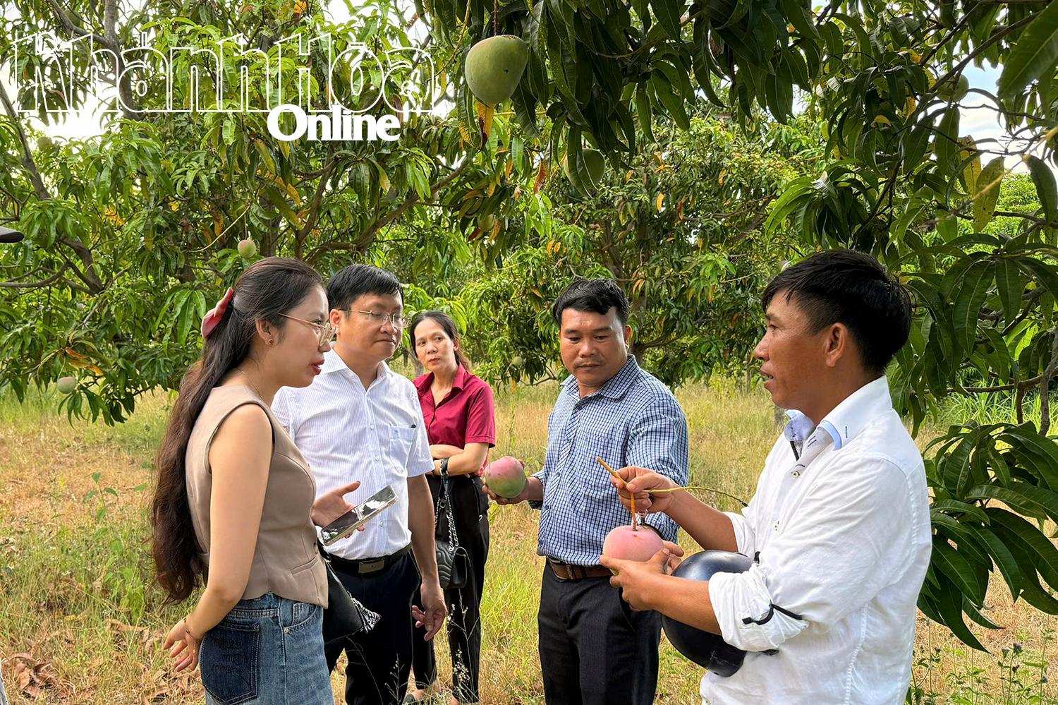 Ông Vương (bìa phải) trao đổi với nhà thu mua về giá cả,   hình thức vận chuyển.   